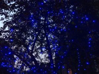 th-23_tumblr_nr2znp0t0x1tg1rfko2_500.jpg