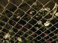 th-23_tumblr_nv8vwjDt591tg1rfko2_500_v2.jpg